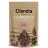 OLANDIA Ostropest ziarno RAW 200g