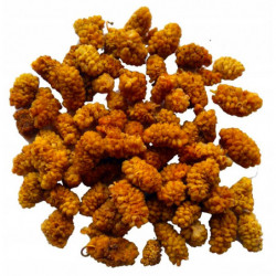 Fresano Morwa Biała suszona BIO 250g