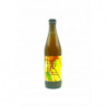 Browar MARYENSZTADT Freeky Mango ALE 500ml